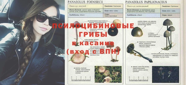 хмурый Волосово